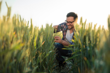 Happy young farmer or agronomist inspecting wheat plants in a field before the harvest. Checking...
