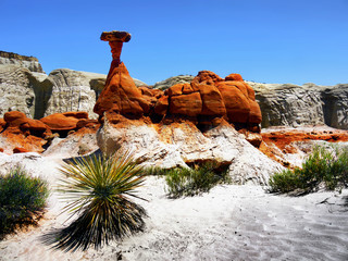 Red rocks in Grand Staircase Escalante National Monument, Utah USA	