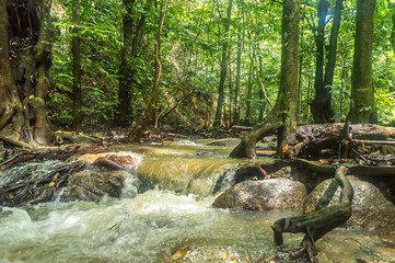 Fototapeta premium Natural stream from mountain at tropical forest with focused at waterfall