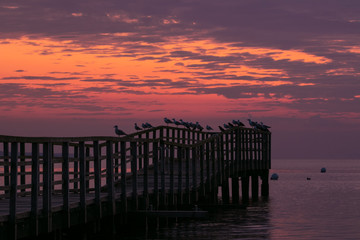 Seebrücke mit Möwen in der Morgen Dämmerung