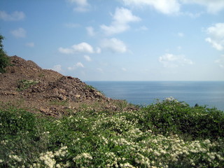 Sea view from the coastal mountains. The coastal hills are surrounded by dense vegetation.