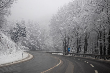 Fototapeta na wymiar Snow on the road at winter. Trees covered with snow next to the road. Cestobrodica in Serbia.
