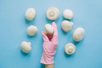 Hand in pink glove holding mushrooms on blue background flat lay. Safe shopping in quarantine. Order food online with delivery and stay home. Prevention of virus epidemic. Stay safe.