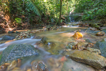 Water stream at deep of tropical forest