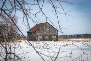 old barn in winter