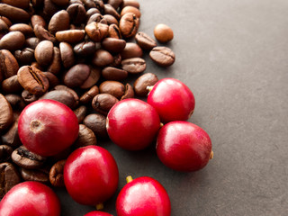 Red coffee beans and the roasted coffee beans isolated on black background.