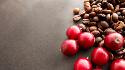 Red coffee beans and the roasted coffee beans isolated on black background.
