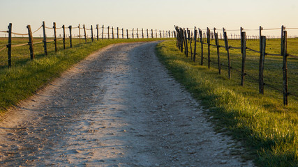 Chemin rural en Seine et Marne (France)