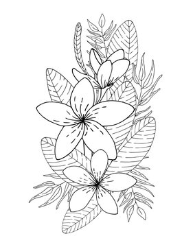 Tropical flowers bouquet. Floral composition. Black lines on white background. Vector illustration.