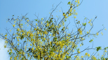 nature is beauty. the nature is great creation from god Thats creativity no more creating for without god 