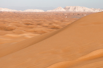 Fototapeta na wymiar A trip to the Dubai desert
