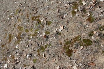 old wall texture of a stone