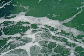 Green sea clean transparent water splash texture background