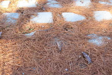concrete tiles and pine needles