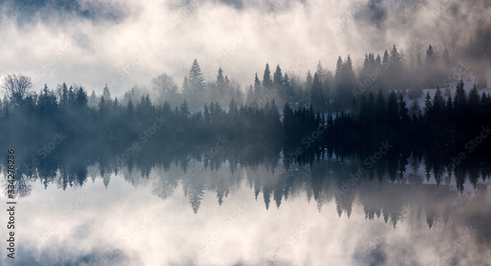 Wall mural abstract image with foggy forest that looks like sound-waves.