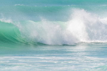 Vague de surf d&eacute;roulant et d&eacute;ferlant dans la mer des Cara&iuml;bes