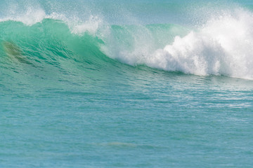 Vague de surf déroulant et déferlant dans la mer des Caraïbes