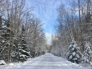 Trees and snow looking down road, blue sky and clouds