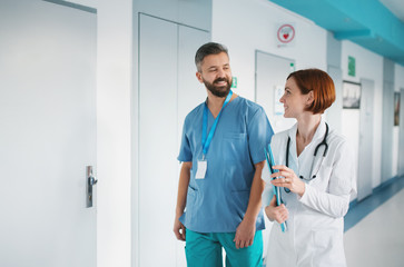 Portrait of man and woman doctor walking in hospital, talking.
