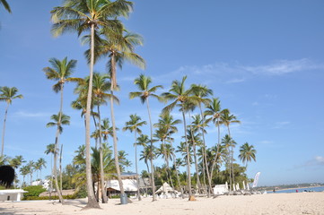 PLAYA