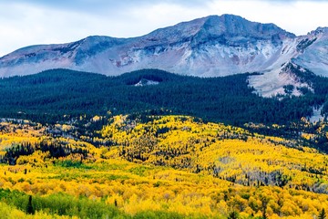 Fall Foliage San Juan Mountains