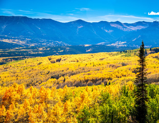Fall Foliage San Juan Mountains