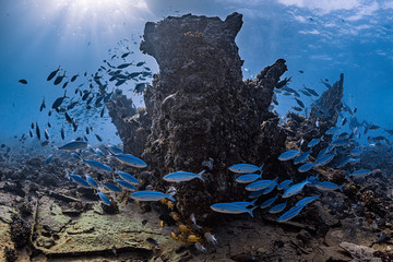 Wrack eines Schiffes im oten Meer in Ägypten