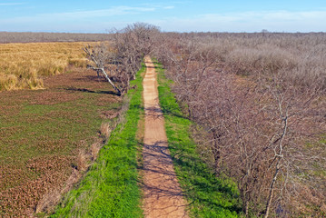 Trail Through a Texas Wetland