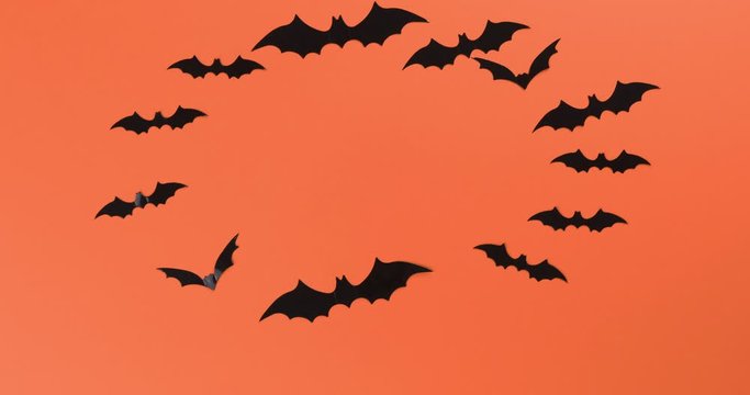 Halloween concept with many black horrible bats flying in a circle. Scary halloween stop motion footage on orange background