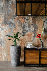 Green plant in a pot on a concrete, textured, texture background. Art plaster, rusty wall with stains. - 334284481