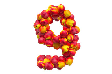 Number 9 from nectarines or peaches, 3D rendering