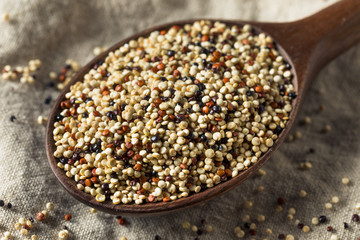 Raw Tricolor Organic Quinoa Kernals
