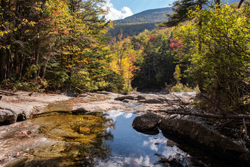 river in autumn forest