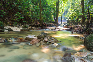 Naklejka na ściany i meble Mountain stream in deep tropical forest