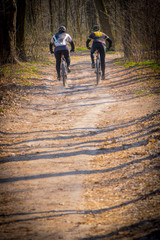  forest road sports bike ride