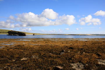 Scapa Flow - Orkney (Scotland), UK - August 08, 2018: World War II boat intentionally sunk to protect the natural harbour of Scapa Flow, Orkney, Scotland, Highlands, United Kingdom