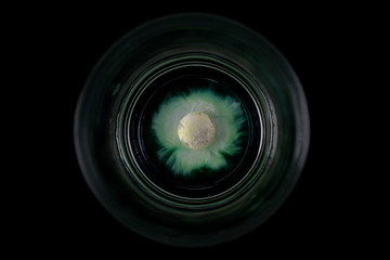 Grüne Schokolinse löst sich im Wasserglas, optisch ähnlich einem Planeten im All.