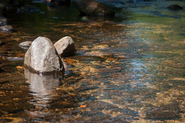 River in the Atlantic Forest, Ubatuba, North Coast of the State of São Paulo - Brazil