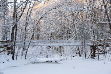 snow covered bridge in winter