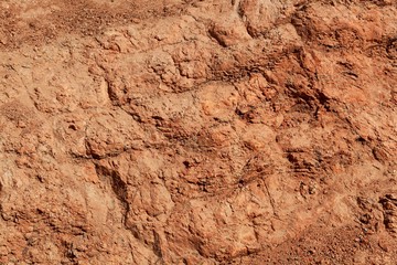 The surface of a laterite soil