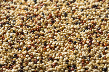 Raw Tricolor Organic Quinoa Kernals