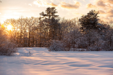 sunset in the winter forest