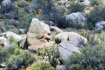 Boulders at Base of Sandia Mountains