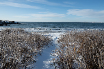 ocean path in winter
