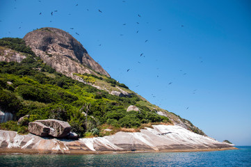 Coast of the Alcatrazes Archiplelago - Conservation Unit - North Coast of the State of São Paulo -...
