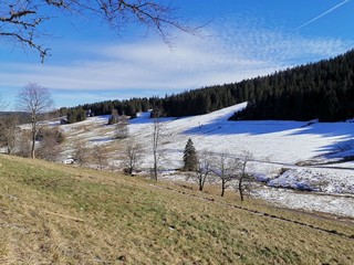 landscape in winter