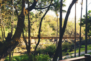 Bridge Over River in Belize