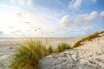 Fototapeten Blick auf schöne Landschaft mit Strand und Sanddünen in der Nähe von Henne Strand, Nordseeküstenlandschaft Jütland Dänemark © ah_fotobox