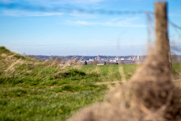 La prairie derrière la clôture