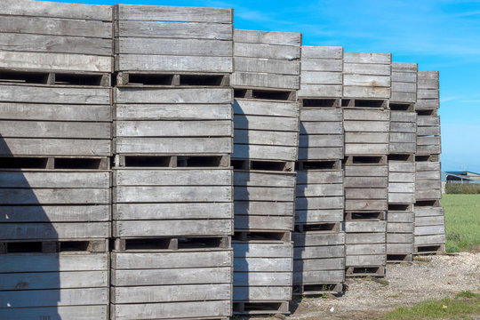 Des gros cagots pour les fruits , empil&eacute; les uns sur les autres